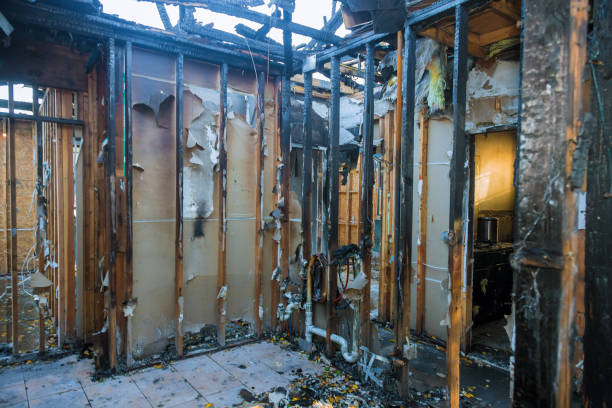 Professional Emergency Fire Cleanup technician working in Arlington, NE